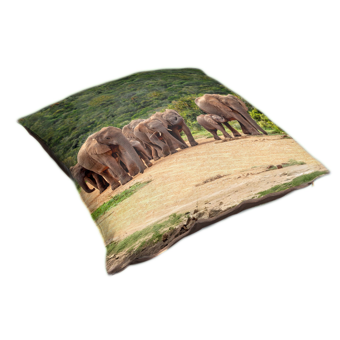 Elephant Family Luxury Scatter by Annette Heymans