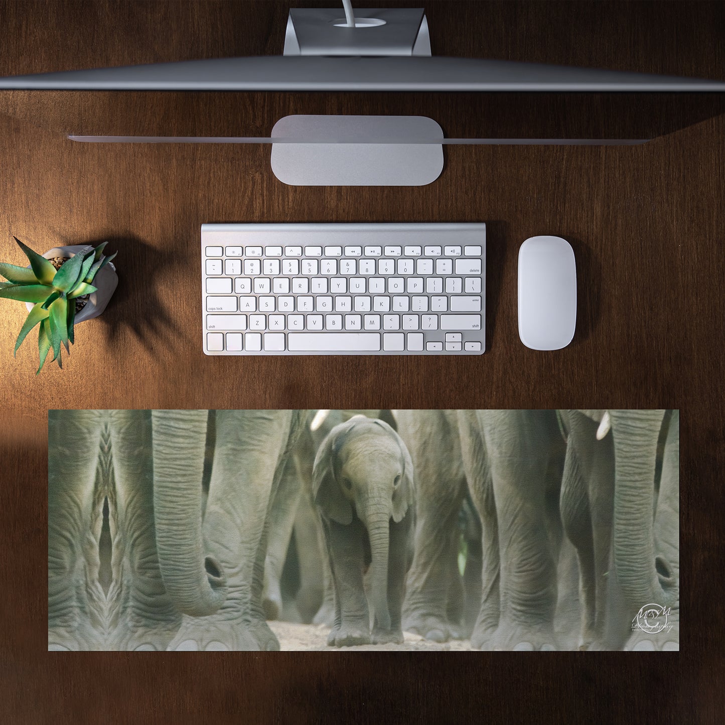 Elephant Protective Pack Desk Pad by Ferdie Muller