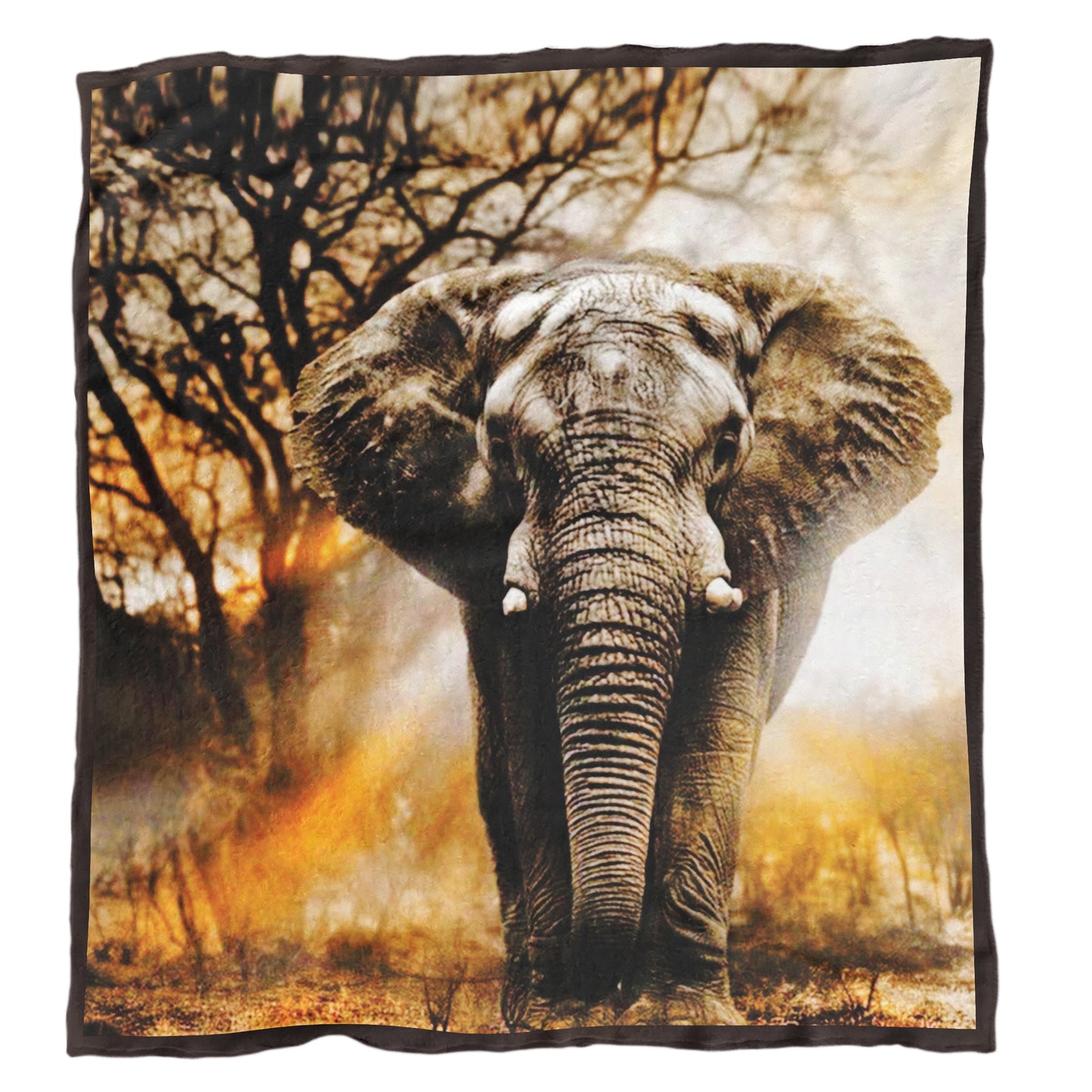 Elephant Sunset Light Weight Fleece