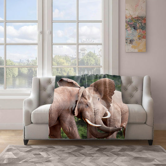 Elephant Bull Fight Light Weight Fleece Blanket By Fanie Heymans