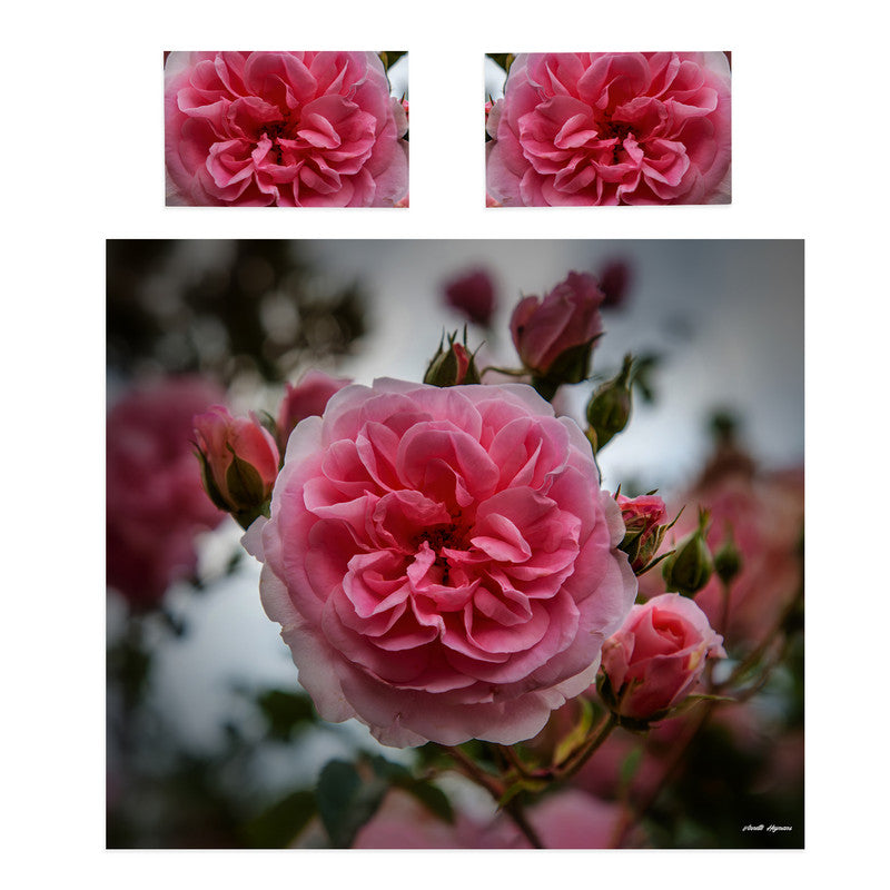 English Garden Rose Duvet Cover Set by Annette Heymans