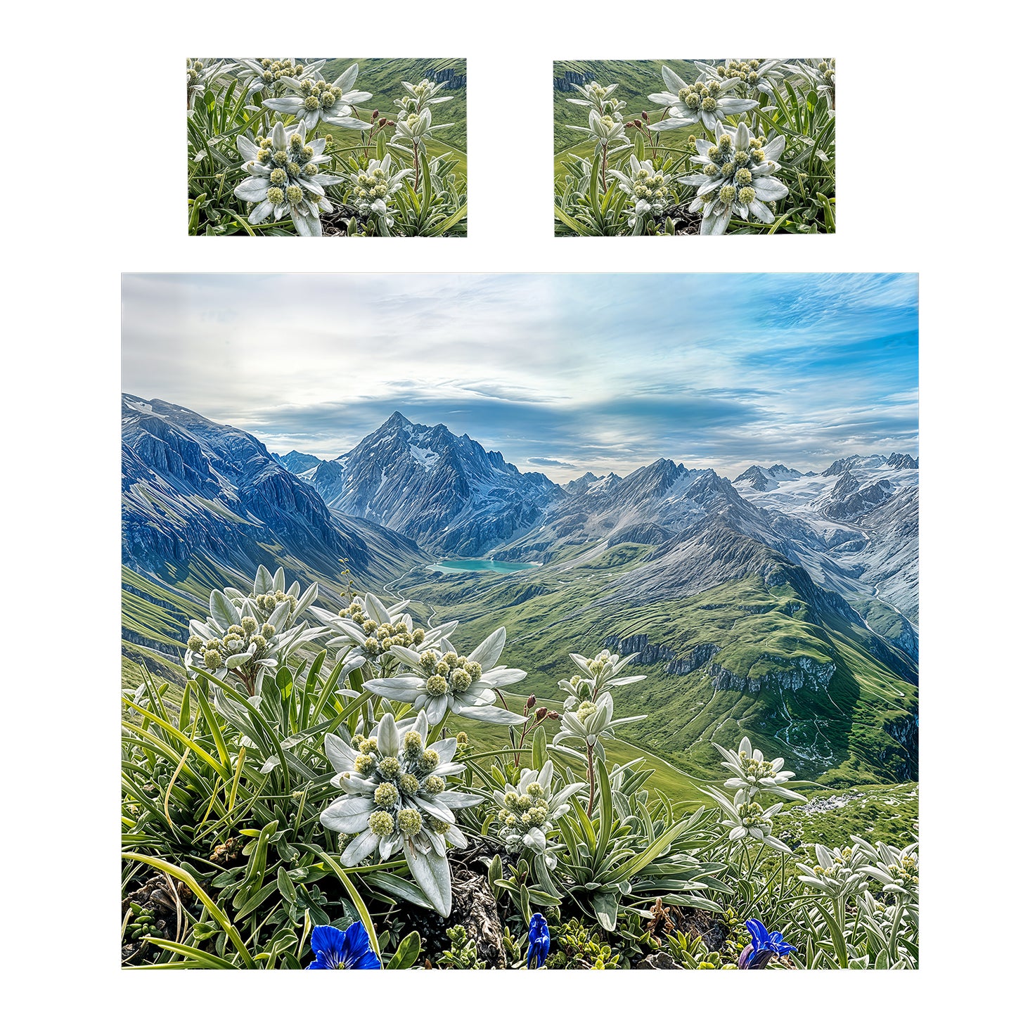 Fields of Glory Duvet Cover Set