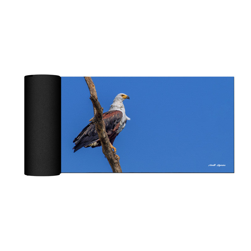 Fish Eagle Desk Pad by Annette Heymans