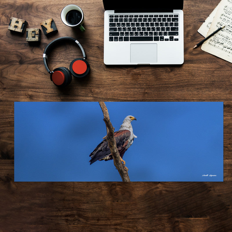 Fish Eagle Desk Pad by Annette Heymans
