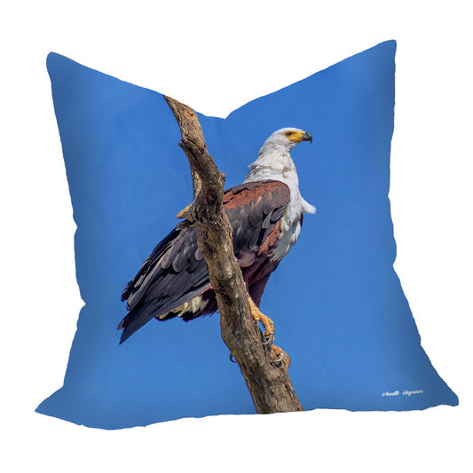 Fish Eagle Luxury Scatter by Annette Heymans