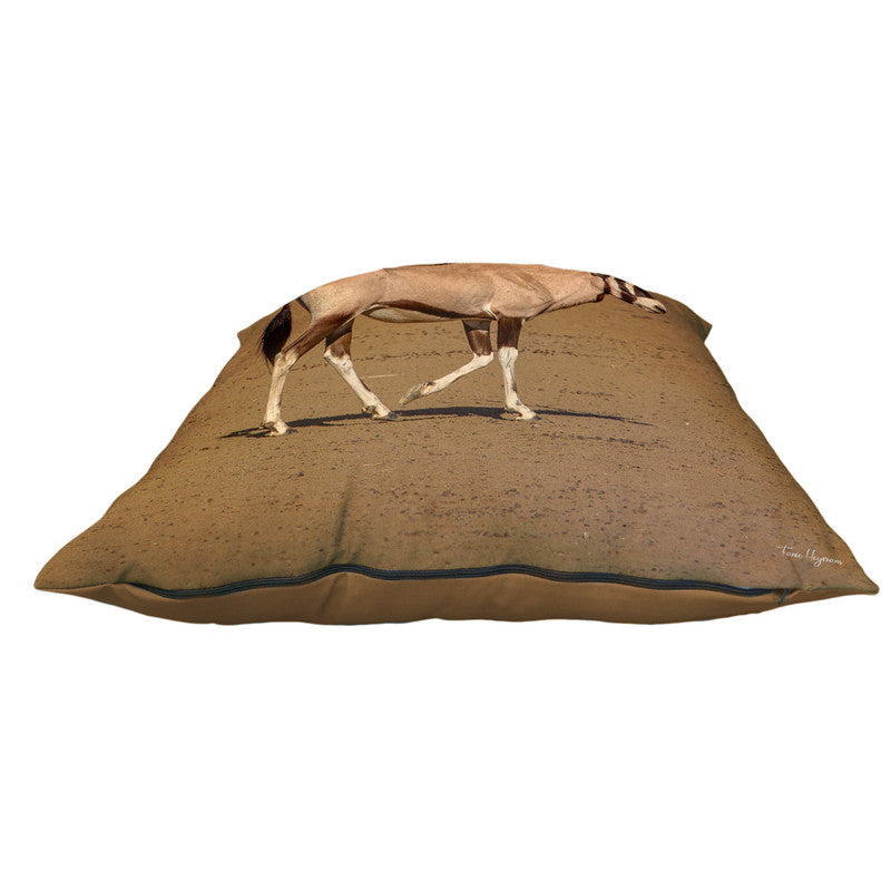 Gemsbok Nossob Luxury Scatter by Fanie Heymans