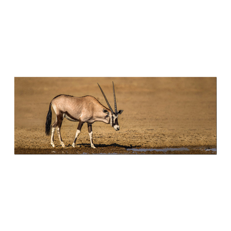 Gemsbok Oryx Desk Pad by Fanie Heymans