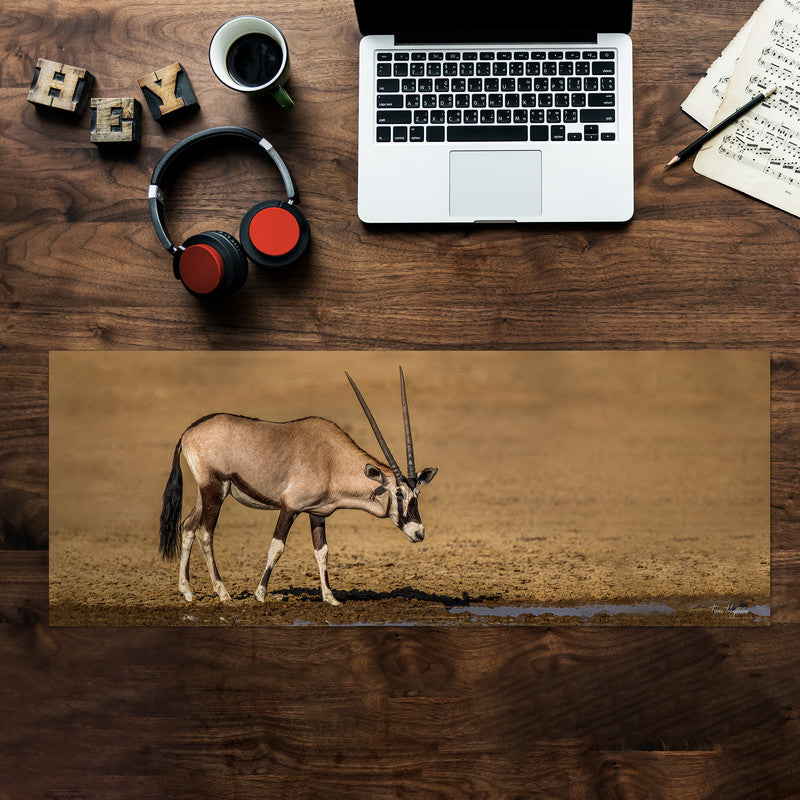 Gemsbok Oryx Desk Pad by Fanie Heymans