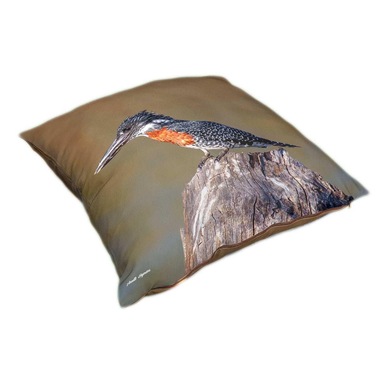 Giant Kingfisher Luxury Scatter by Annette Heymans
