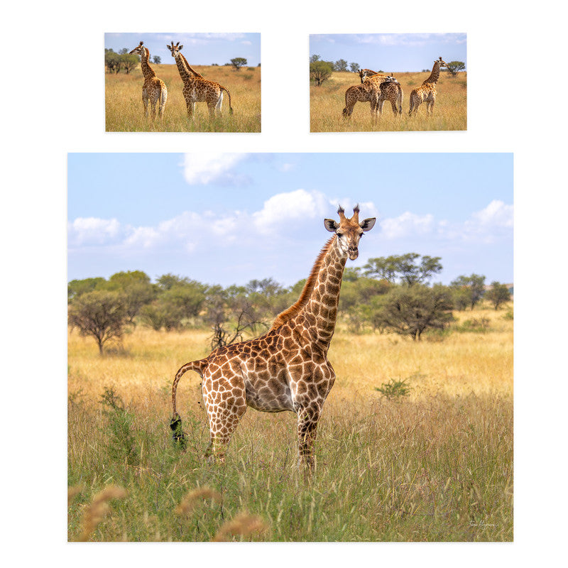 Giraffe Family Duvet Cover Set by Fanie Heymans