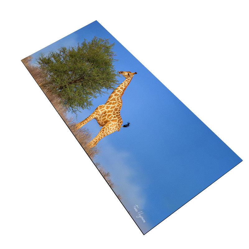 Giraffe on Horizon Desk Pad by Fanie Heymans