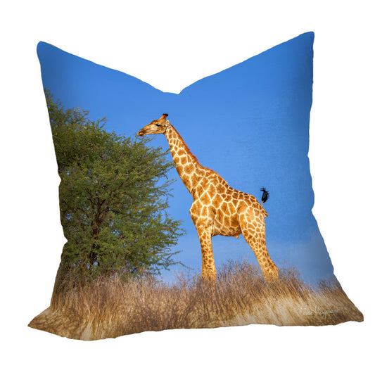 Giraffe on Horizon Luxury Scatter by Fanie Heymans