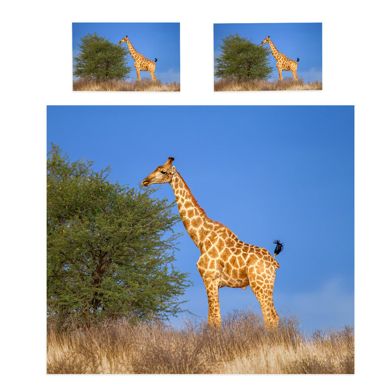 Giraffe on horison Duvet Cover Set By Fanie Heymans