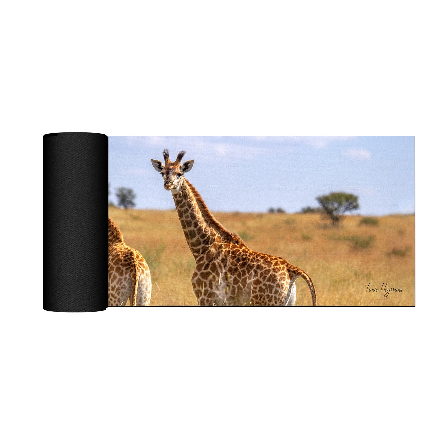Giraffe Double Desk Pad by Fanie Heymans