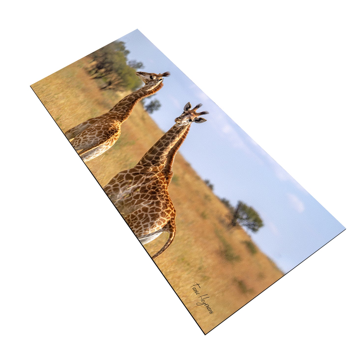 Giraffe Double Desk Pad by Fanie Heymans