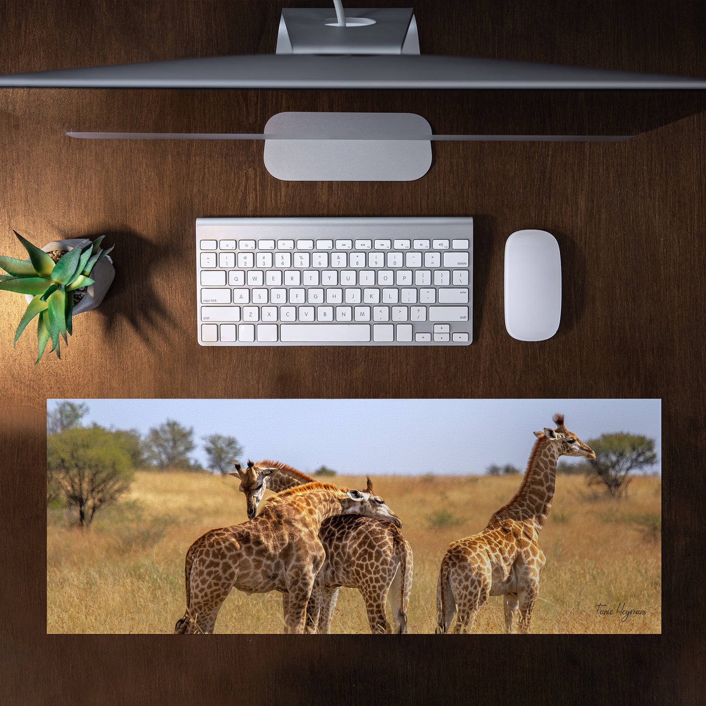 Giraffe Family Desk Pad by Fanie Heymans