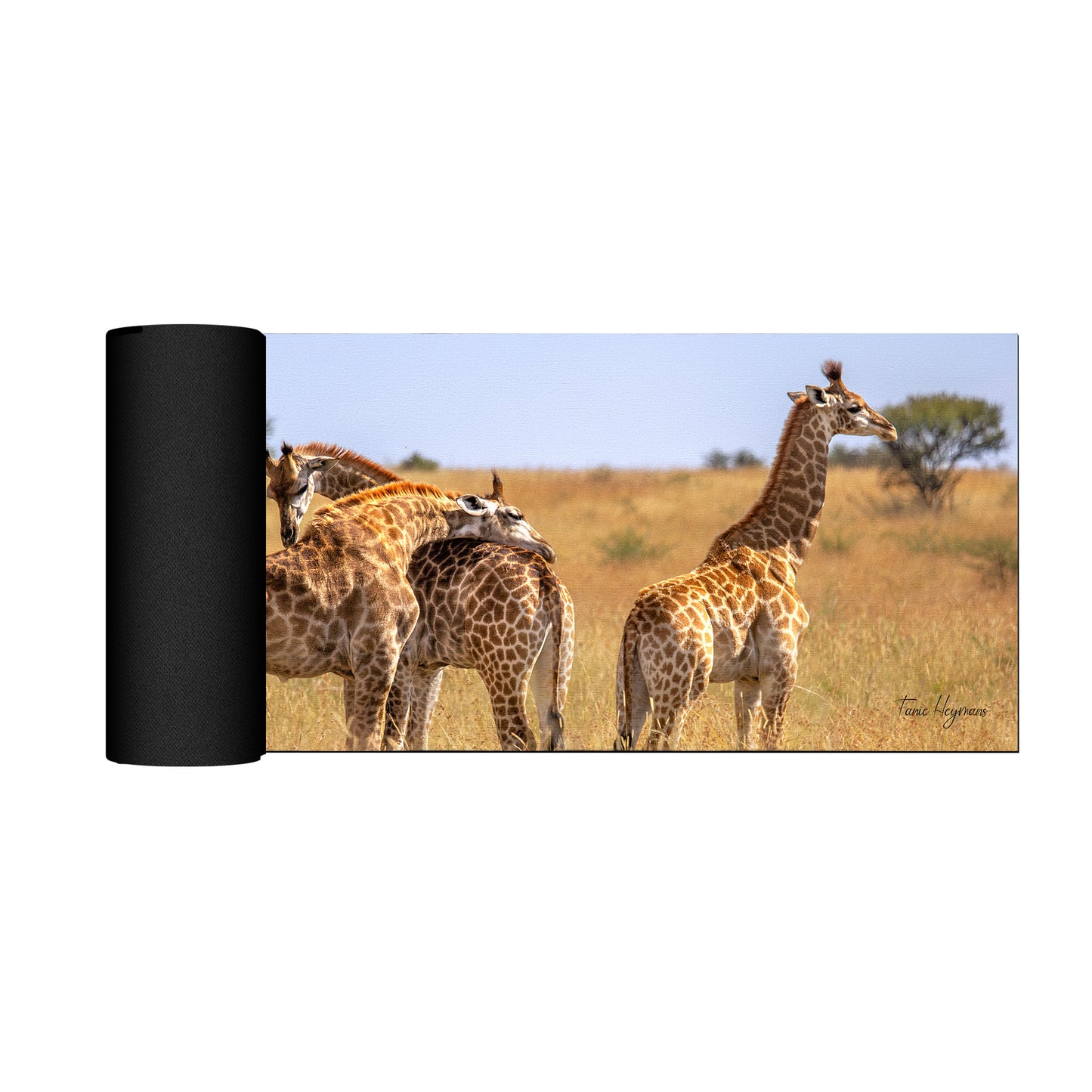Giraffe Family Desk Pad by Fanie Heymans