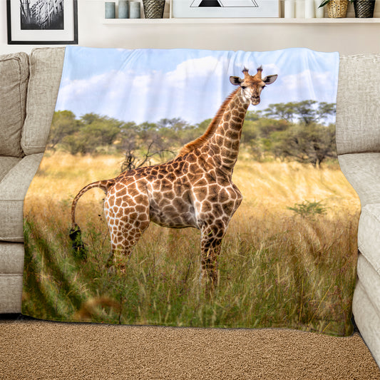 Giraffe Single Light Weight Fleece Blanket by Fanie Heymans