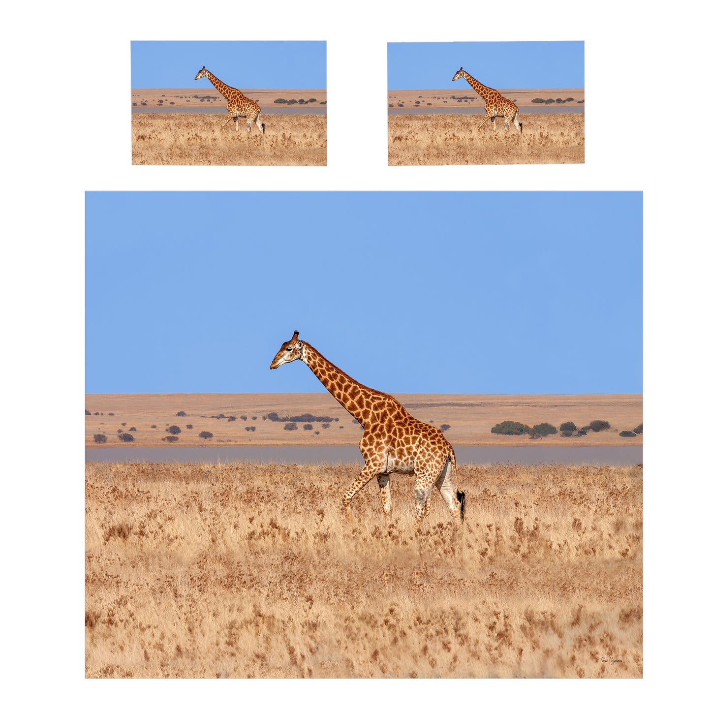 Giraffe in Africa Duvet Cover Set by Fanie Heymans