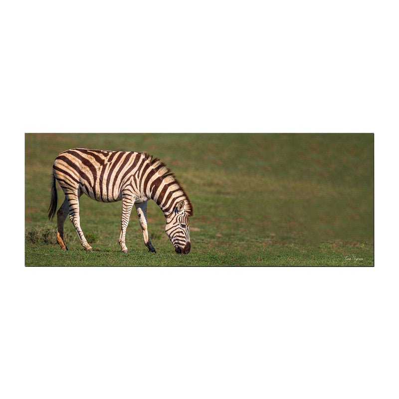 Grazing Zebra Desk Pad by Fanie Heymans