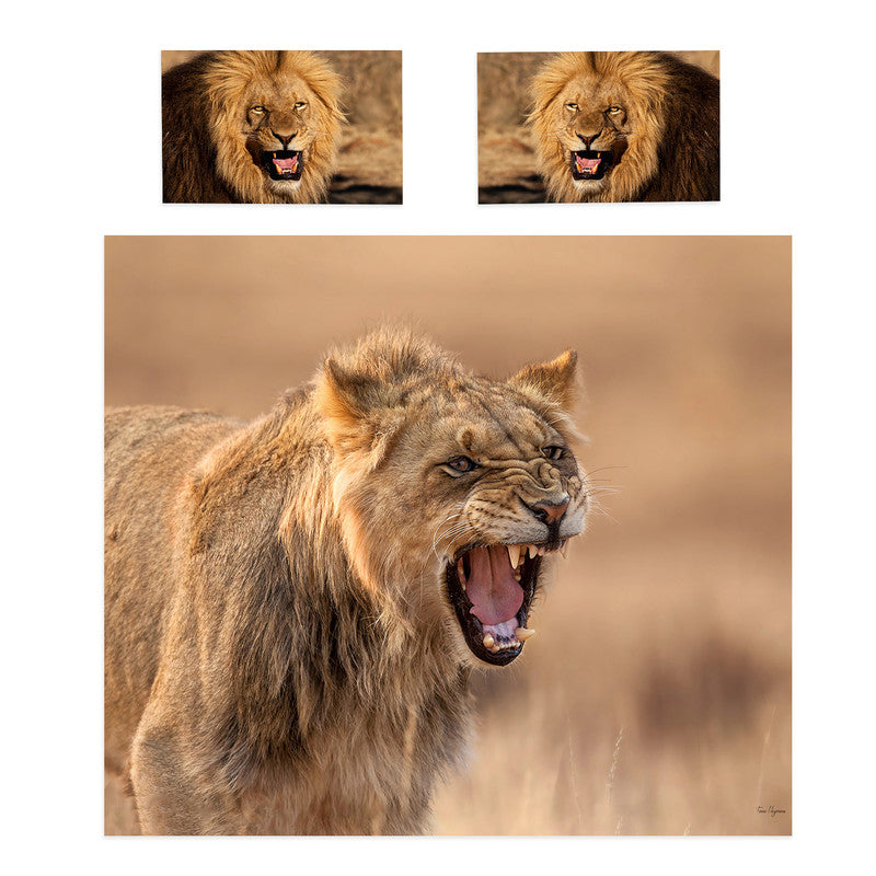 Growling Lion By Fanie Heymans Duvet Cover Set