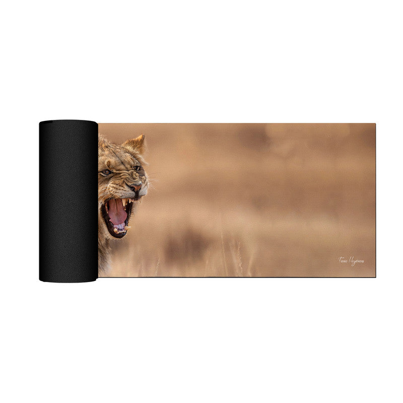 Growling Lion Panthera Leo Large Desk Pad By Fanie Heymans