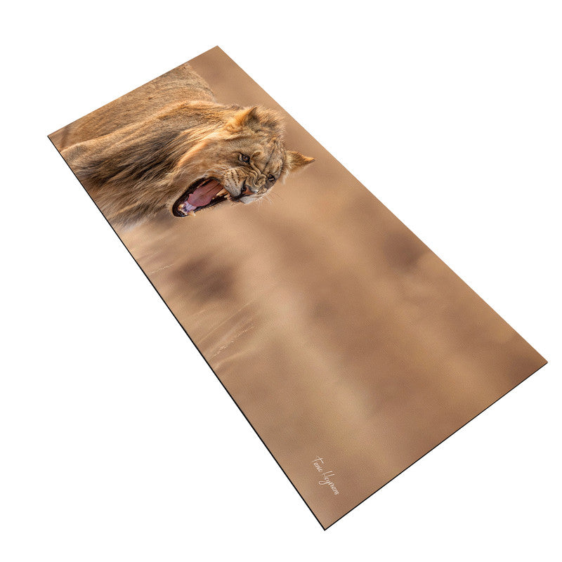 Growling Lion Panthera Leo Large Desk Pad By Fanie Heymans