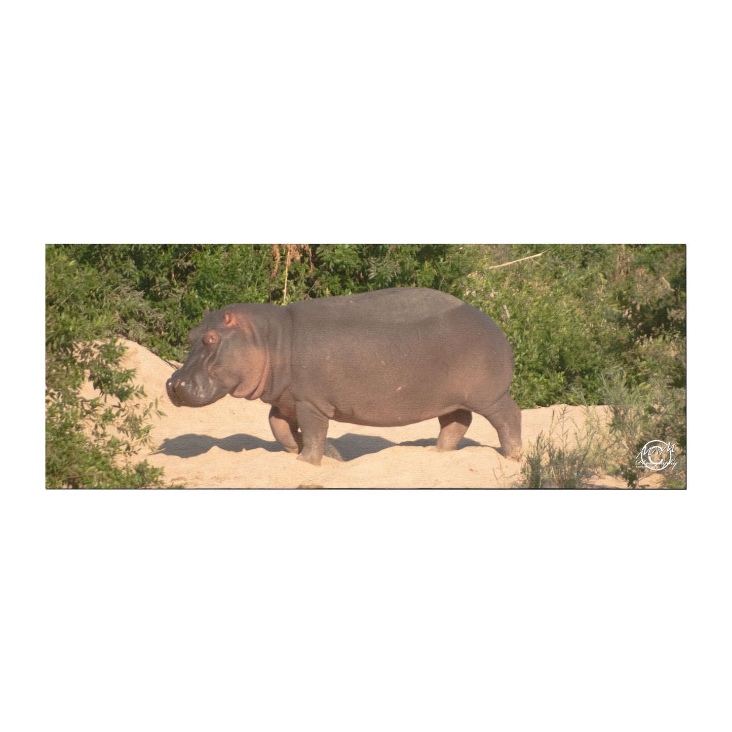 Happy Hippo Desk Pad by Ferdie Muller