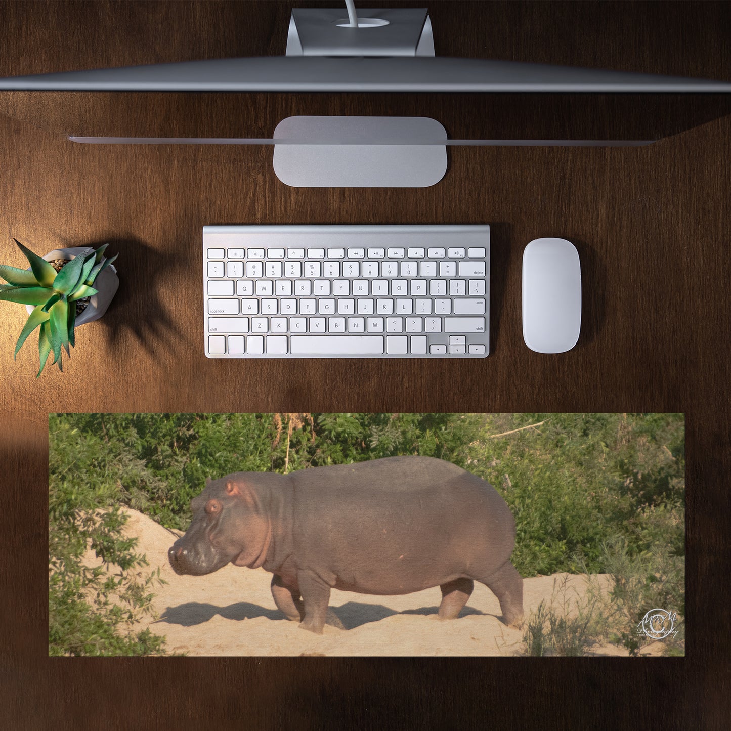 Happy Hippo Desk Pad by Ferdie Muller