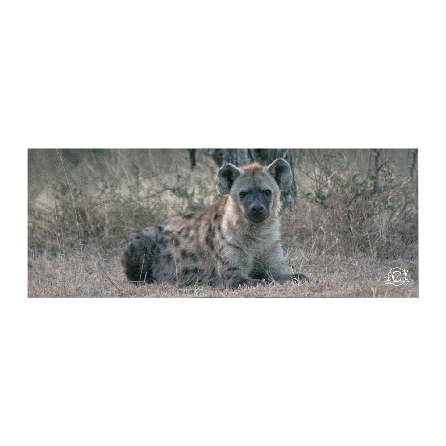 Happy Hyena Desk Pad by Ferdie Muller