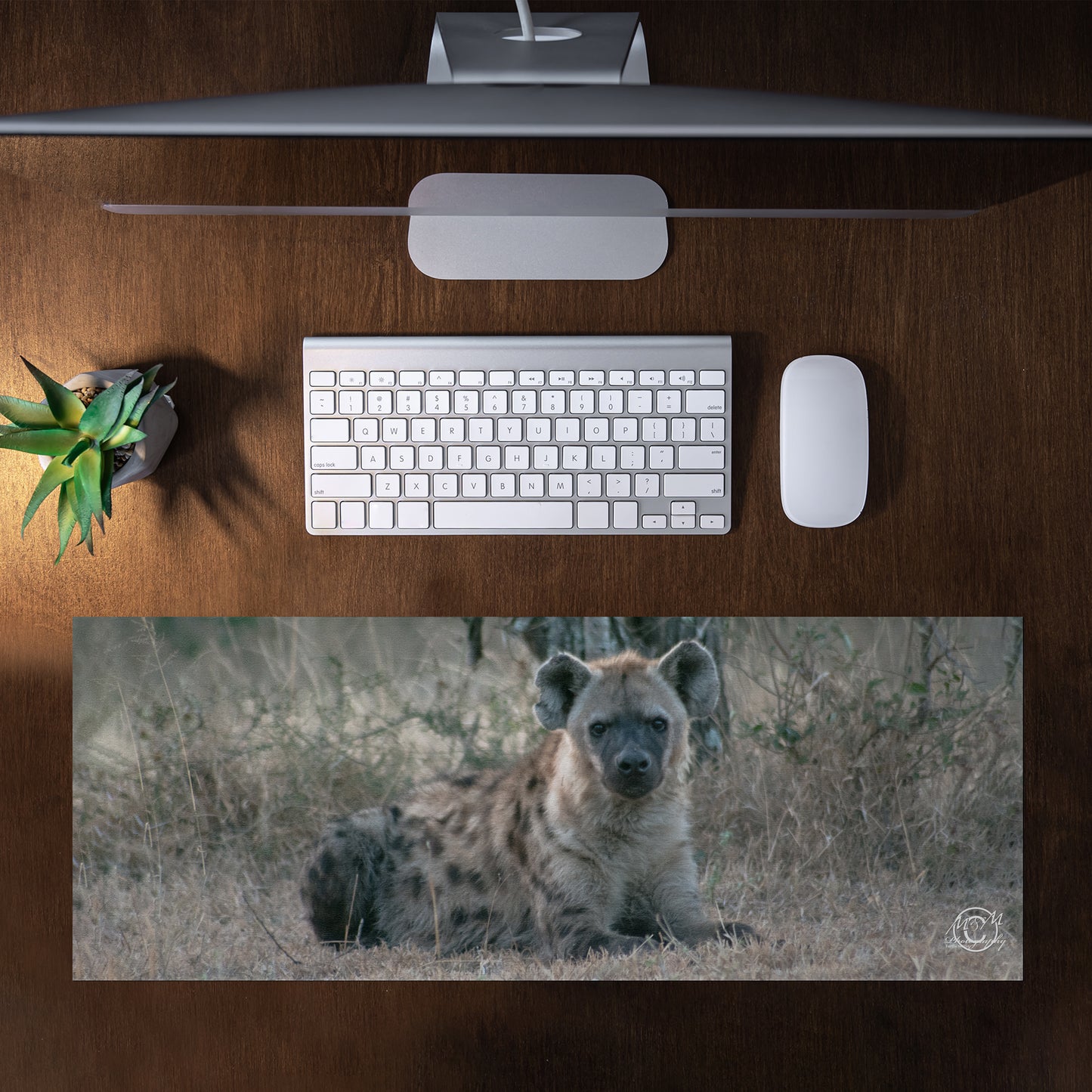 Happy Hyena Desk Pad by Ferdie Muller