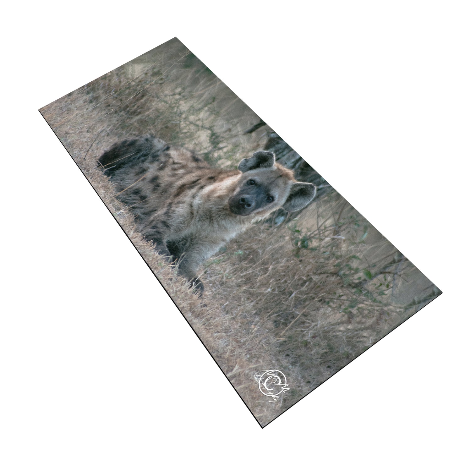 Happy Hyena Desk Pad by Ferdie Muller