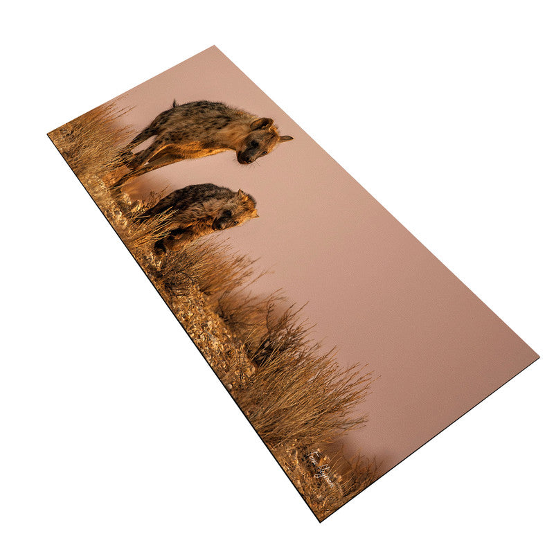 Heyena female plying with cub Large Desk Pad By Fanie Heymans
