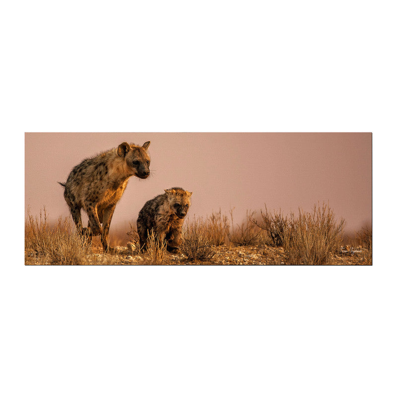Heyena female plying with cub Large Desk Pad By Fanie Heymans
