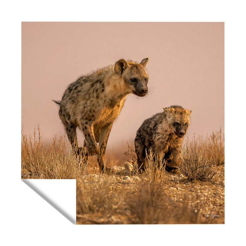 Female Hyena with Cub Square Tablecloth By Fanie Heymans