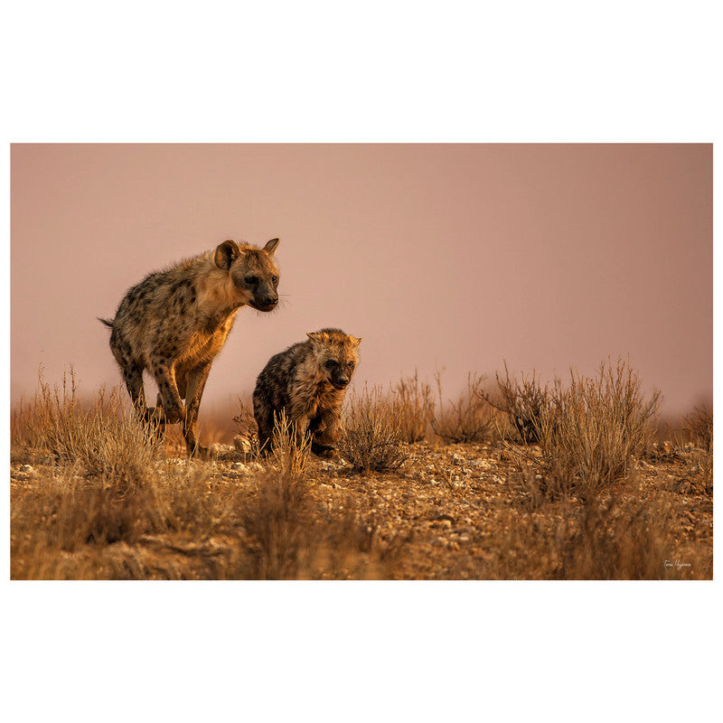Hyena Female Playing with Cub by Fanie Heymans Rectangle Tablecloth