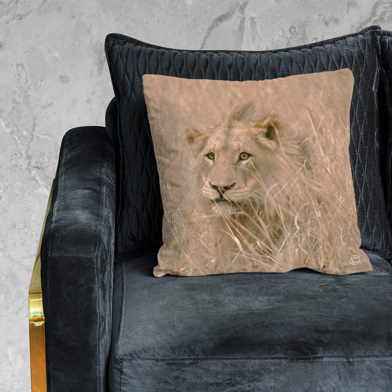 Hidden Lion Luxury Scatter by Ferdie Muller