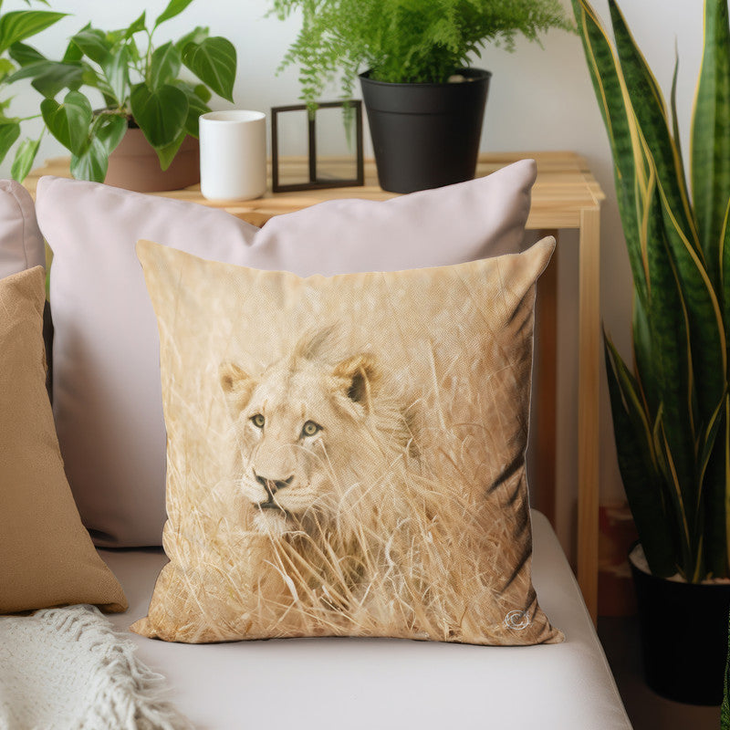 Hidden Lion Luxury Scatter by Ferdie Muller