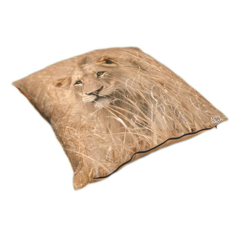 Hidden Lion Luxury Scatter by Ferdie Muller