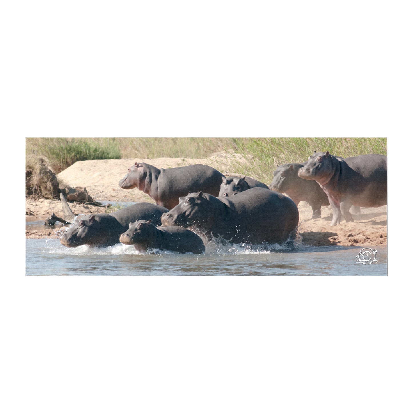 Hippo Family Desk Pad by Ferdie Muller