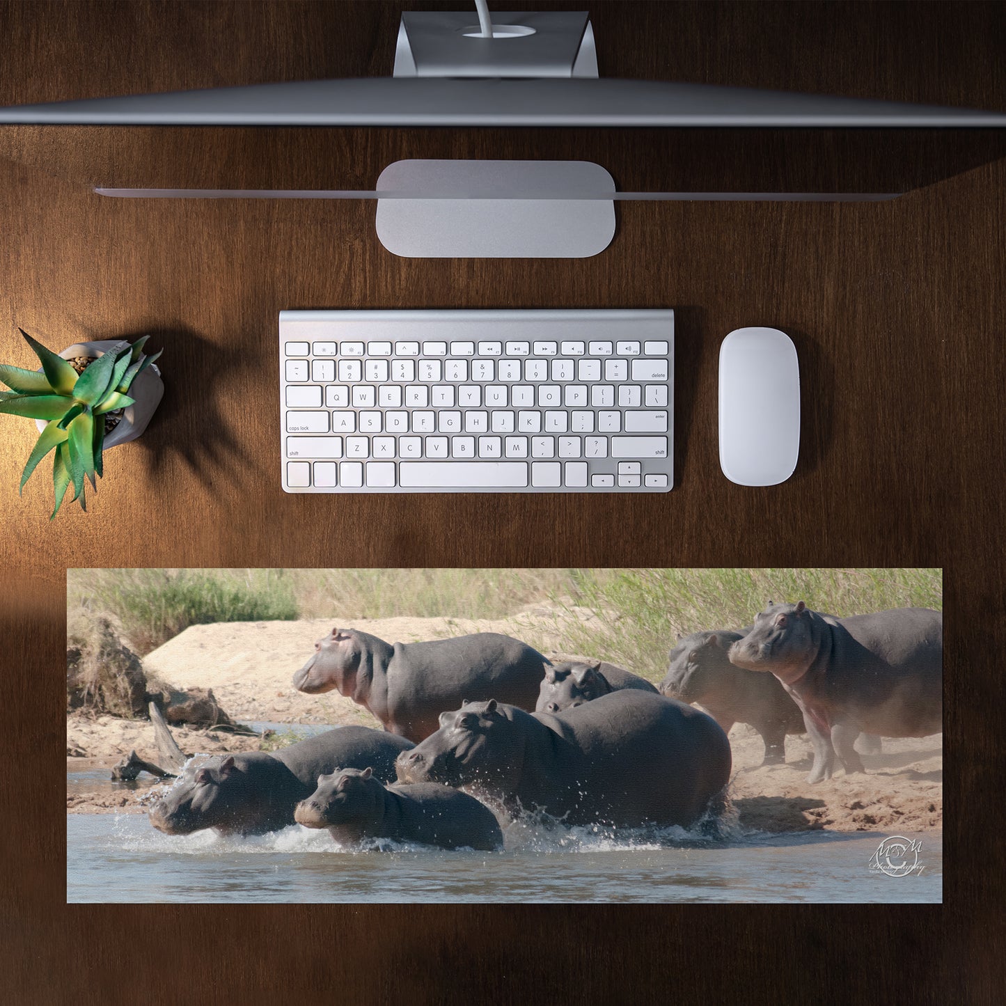 Hippo Family Desk Pad by Ferdie Muller