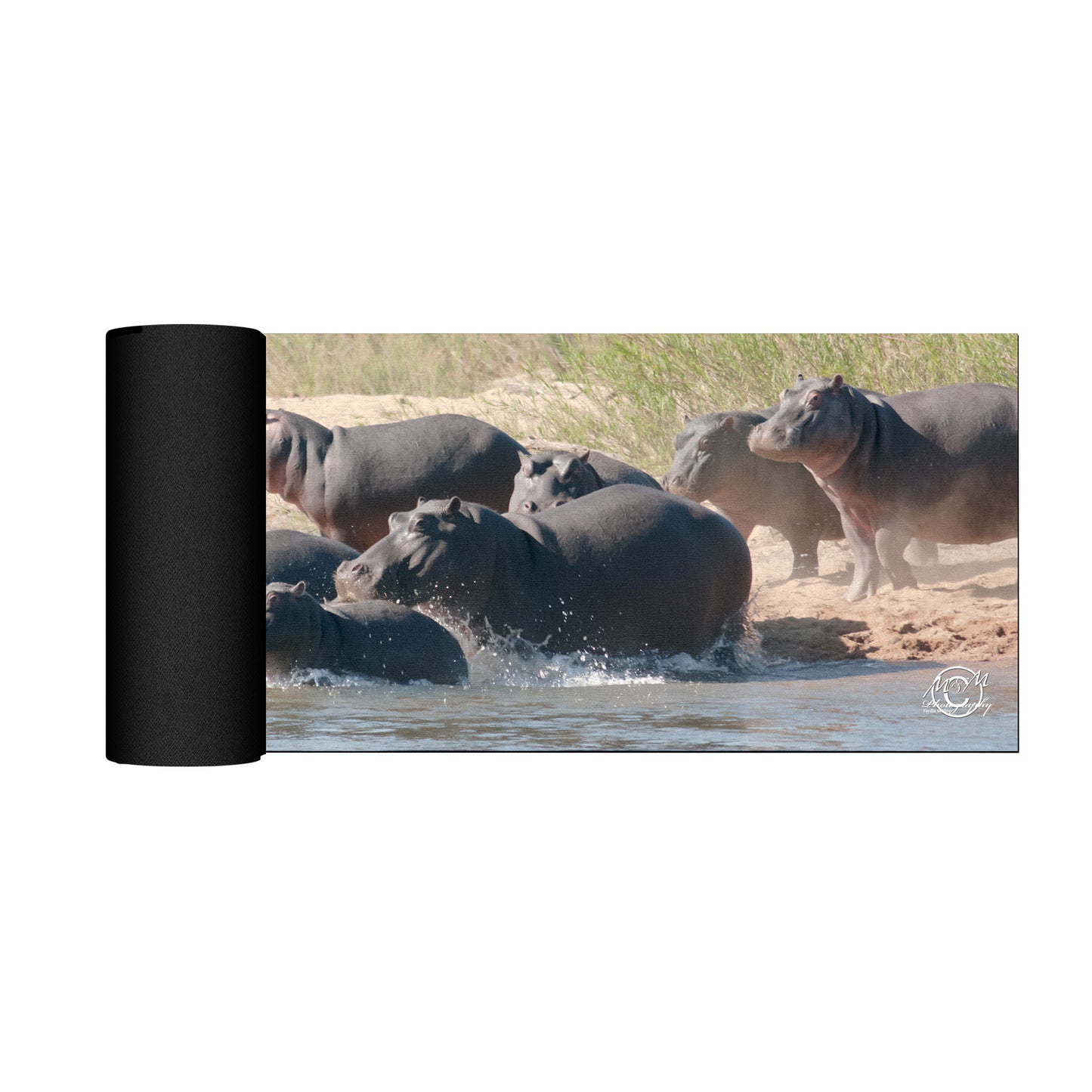 Hippo Family Desk Pad by Ferdie Muller
