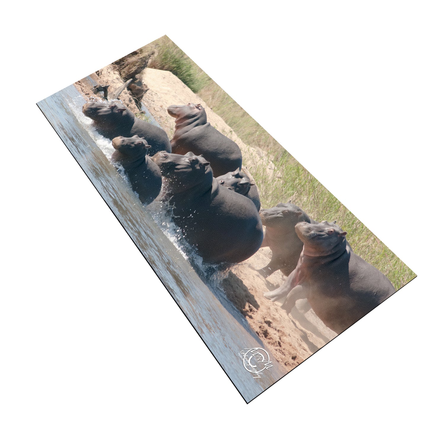 Hippo Family Desk Pad by Ferdie Muller