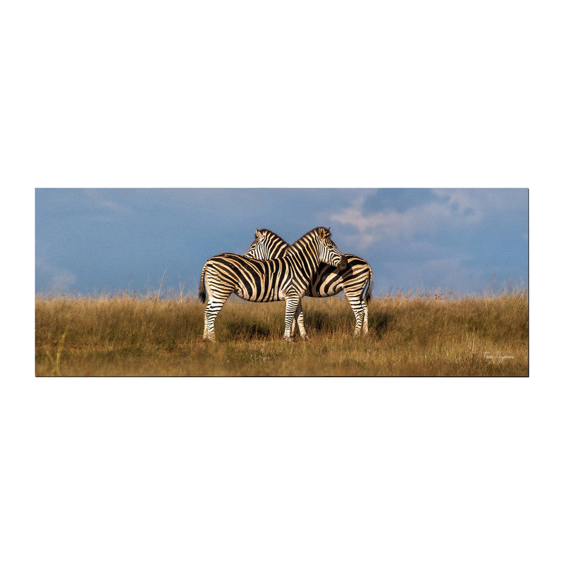 Hugging Zebras Large Desk Pad By Fanie Heymans