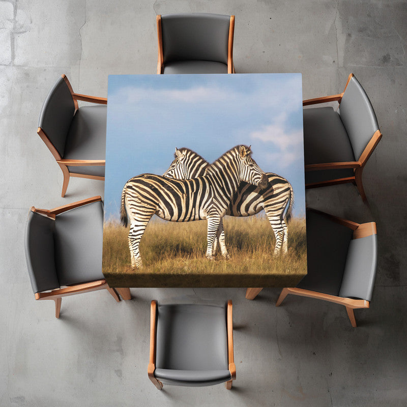 Hugging Zebras Square Tablecloth By Fanie Heymans