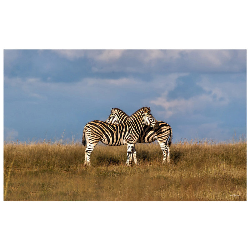 Hugging Zebras By Fanie Heymans Rectangle Tablecloth
