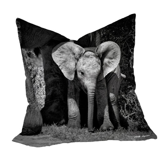 I Will Come for You Luxury Scatter By Annette Heymans