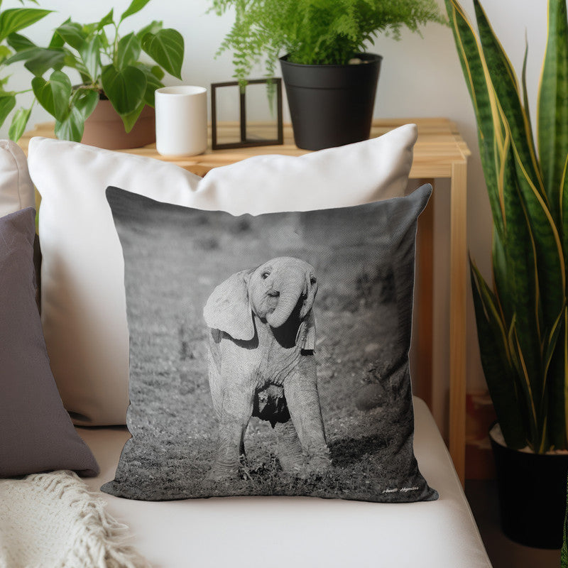 I am a Happy, Happy Ellie Luxury Scatter By Annette Heymans