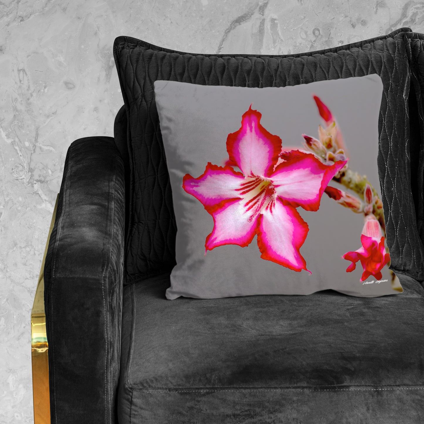 Impala Lilly Luxury Scatter by Annette Heymans