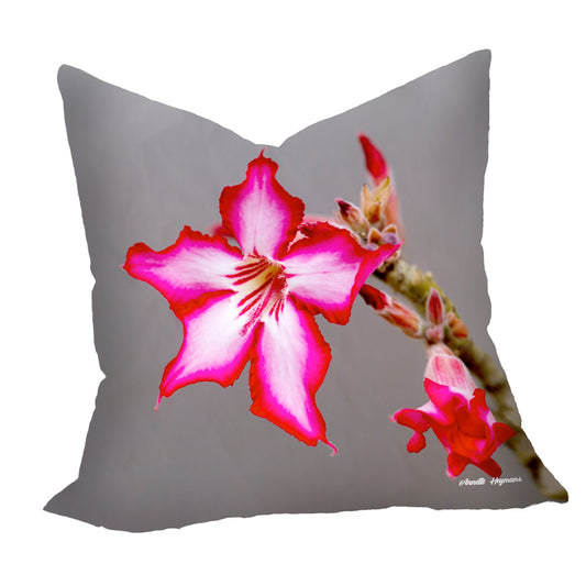 Impala Lilly Luxury Scatter by Annette Heymans